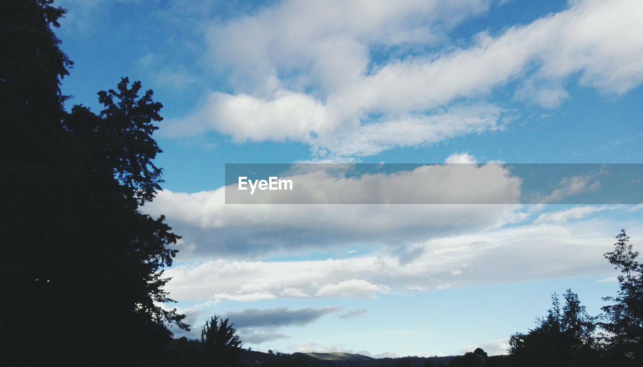 LOW ANGLE VIEW OF CLOUDS IN SKY