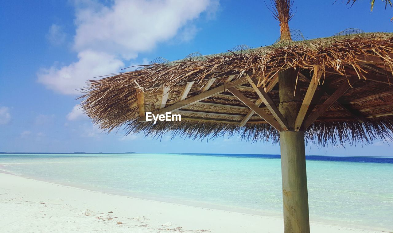 Palm tree on beach against sky