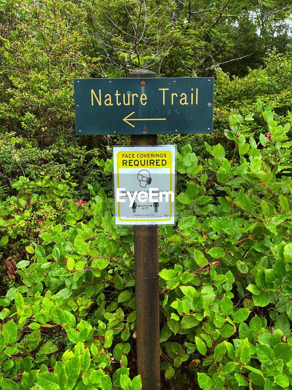 INFORMATION SIGN AGAINST TREES