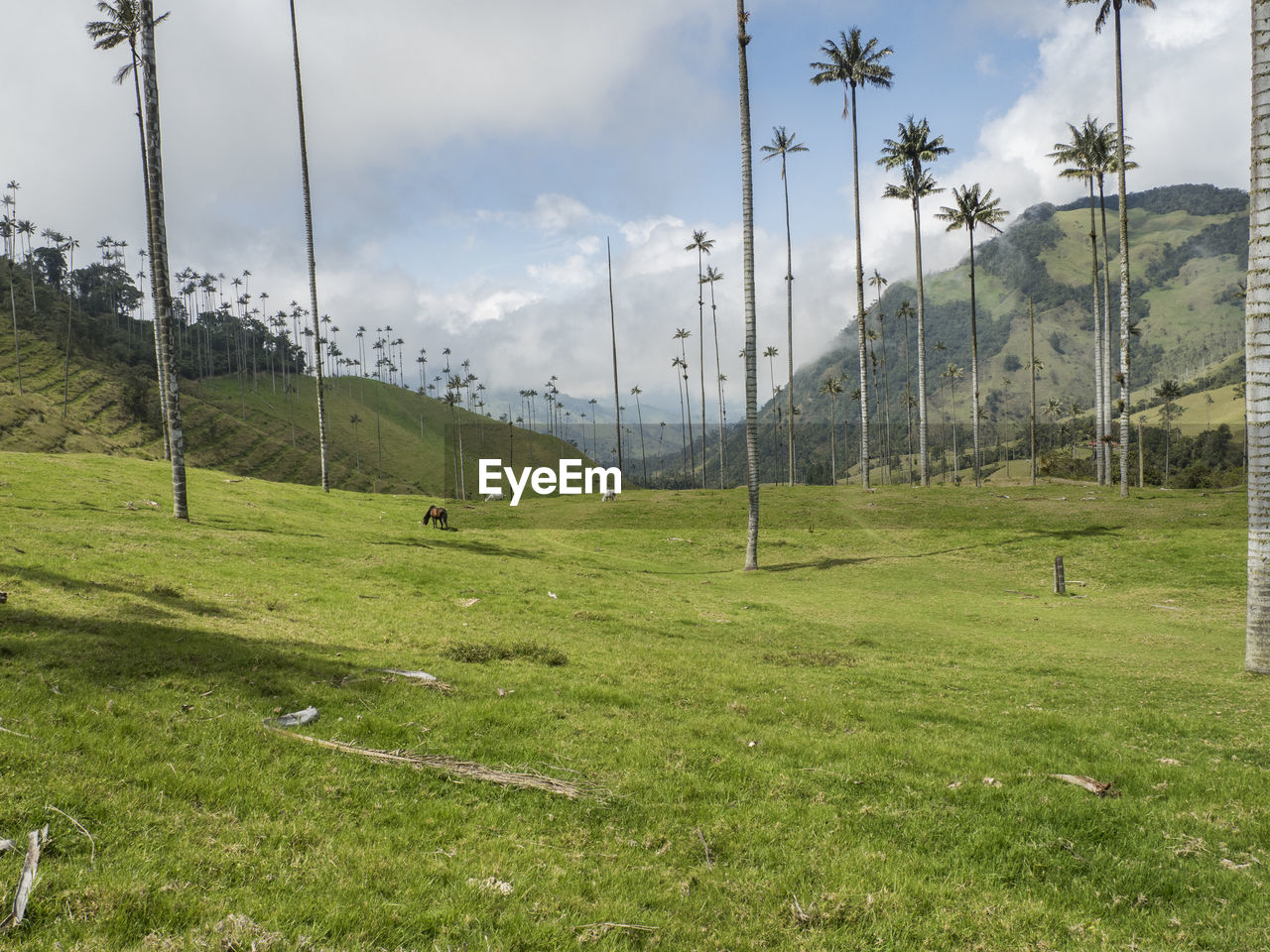 SCENIC VIEW OF LAND AGAINST SKY