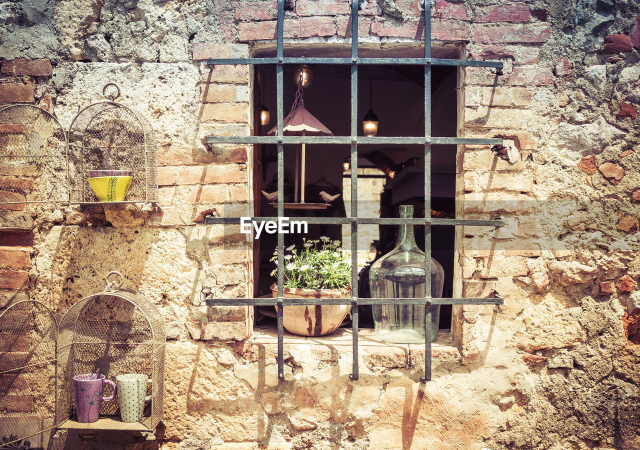CLOSE-UP OF PLANTS AGAINST BUILDING