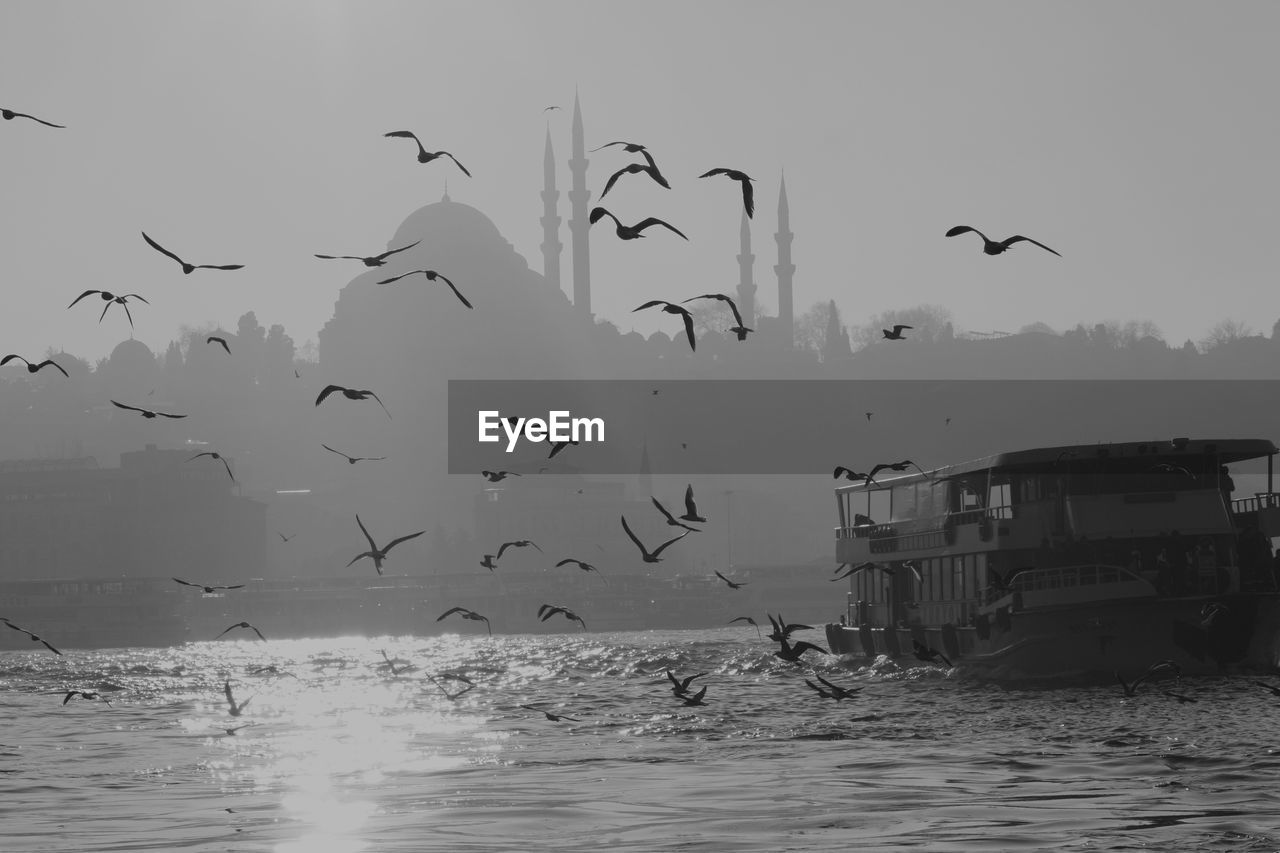 Flock of birds by ferry moored on sea by blue mosque against clear sky