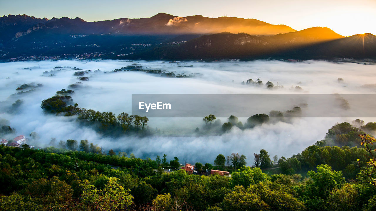 Panoramic view of trees in fog against sky