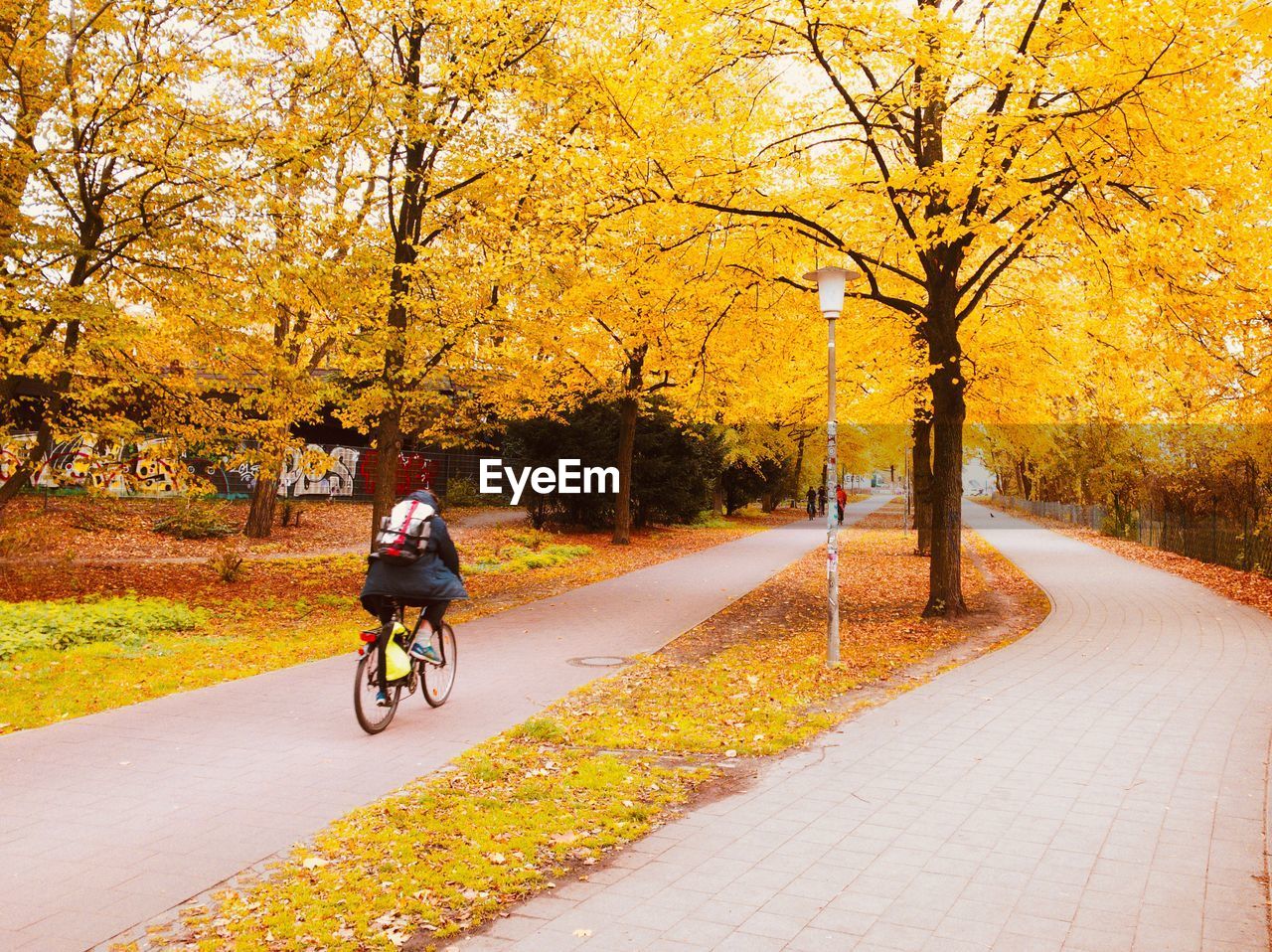 WOMAN RIDING BICYCLE ON ROAD DURING AUTUMN