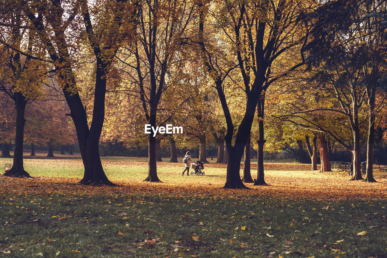 Mid distance view of woman walking in park during autumn