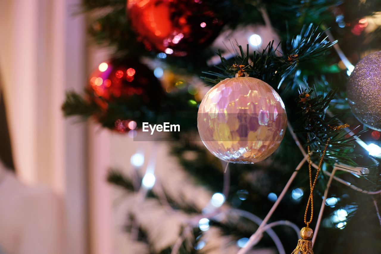 Close-up of shiny bauble hanging from christmas tree