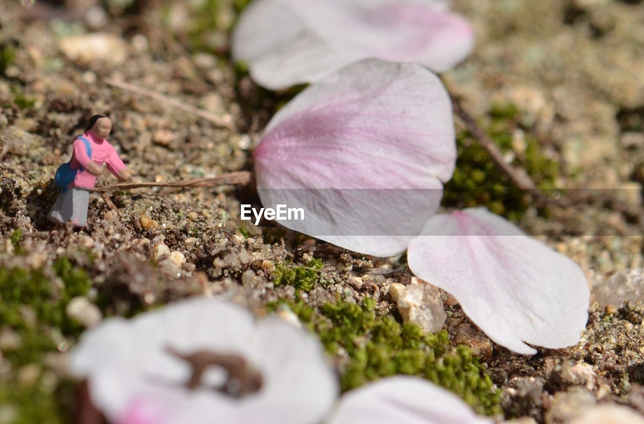 Close-up of human figurine by flower petals