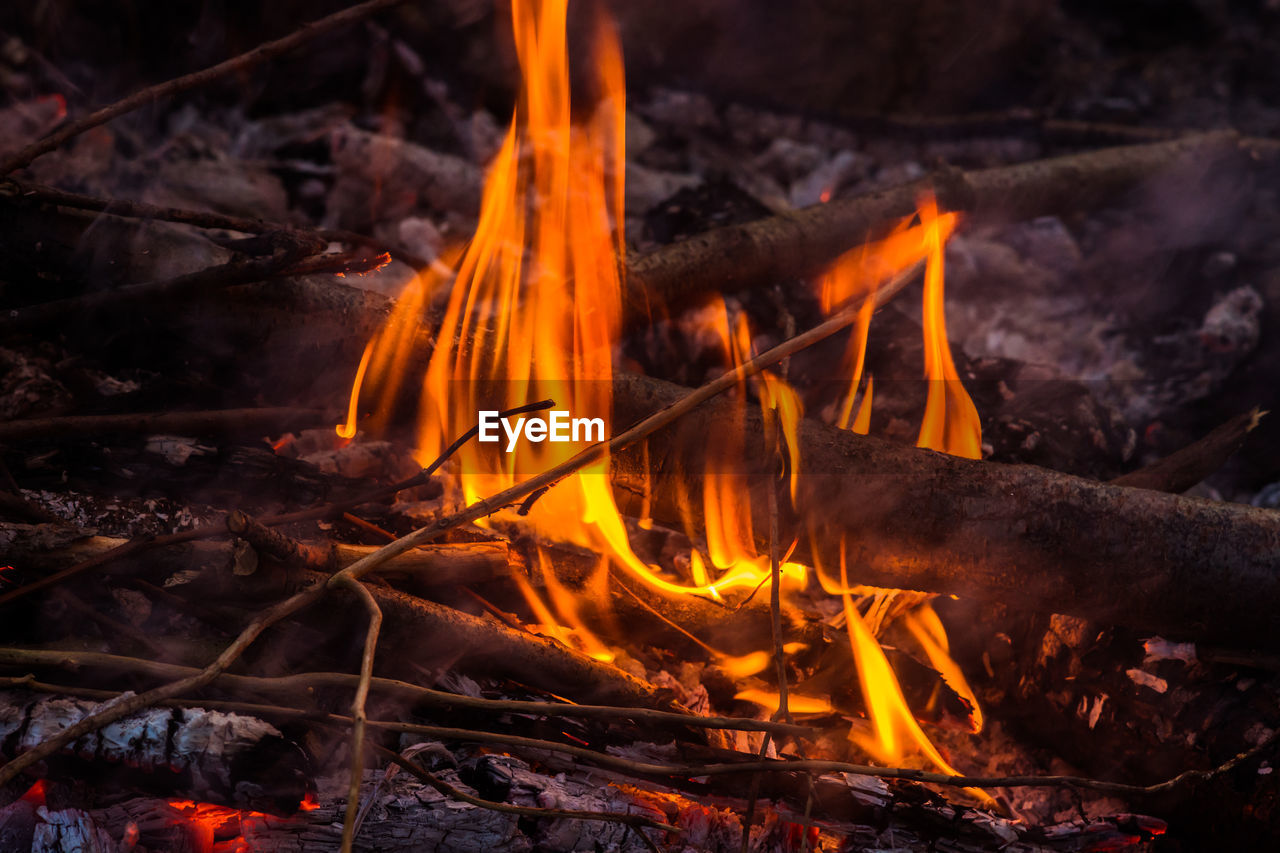 CLOSE-UP OF FIRE IN FOREST