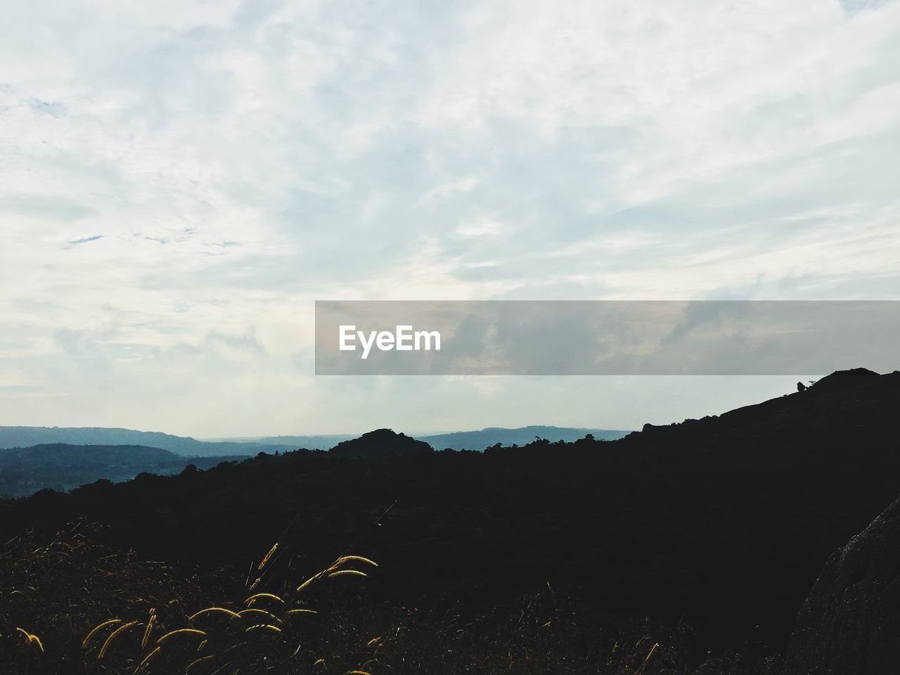 BIRDS ON MOUNTAIN AGAINST SKY