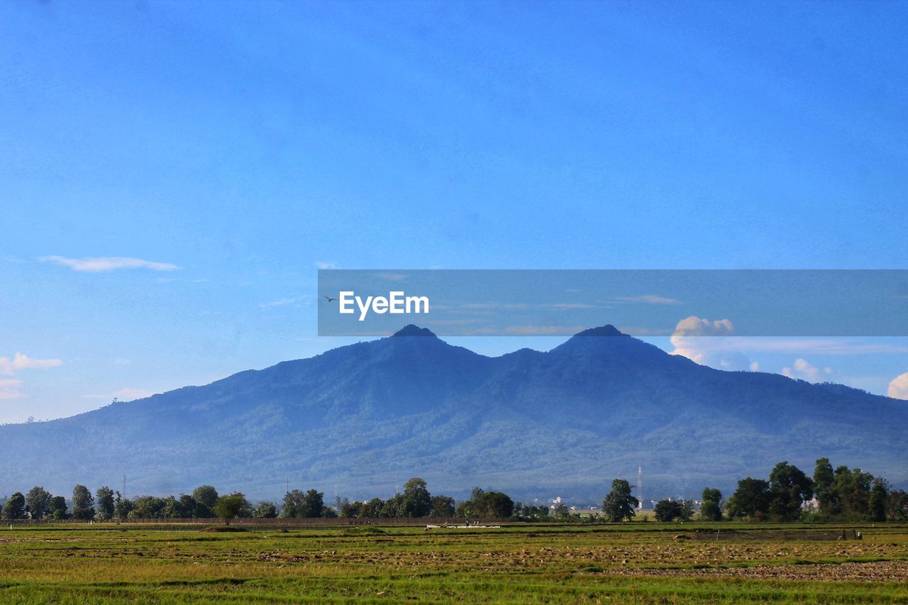 Scenic view of field and mountains against blue sky