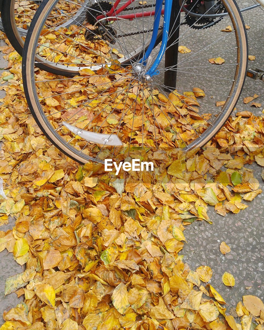 High angle view of fallen leaves on bicycle during autumn