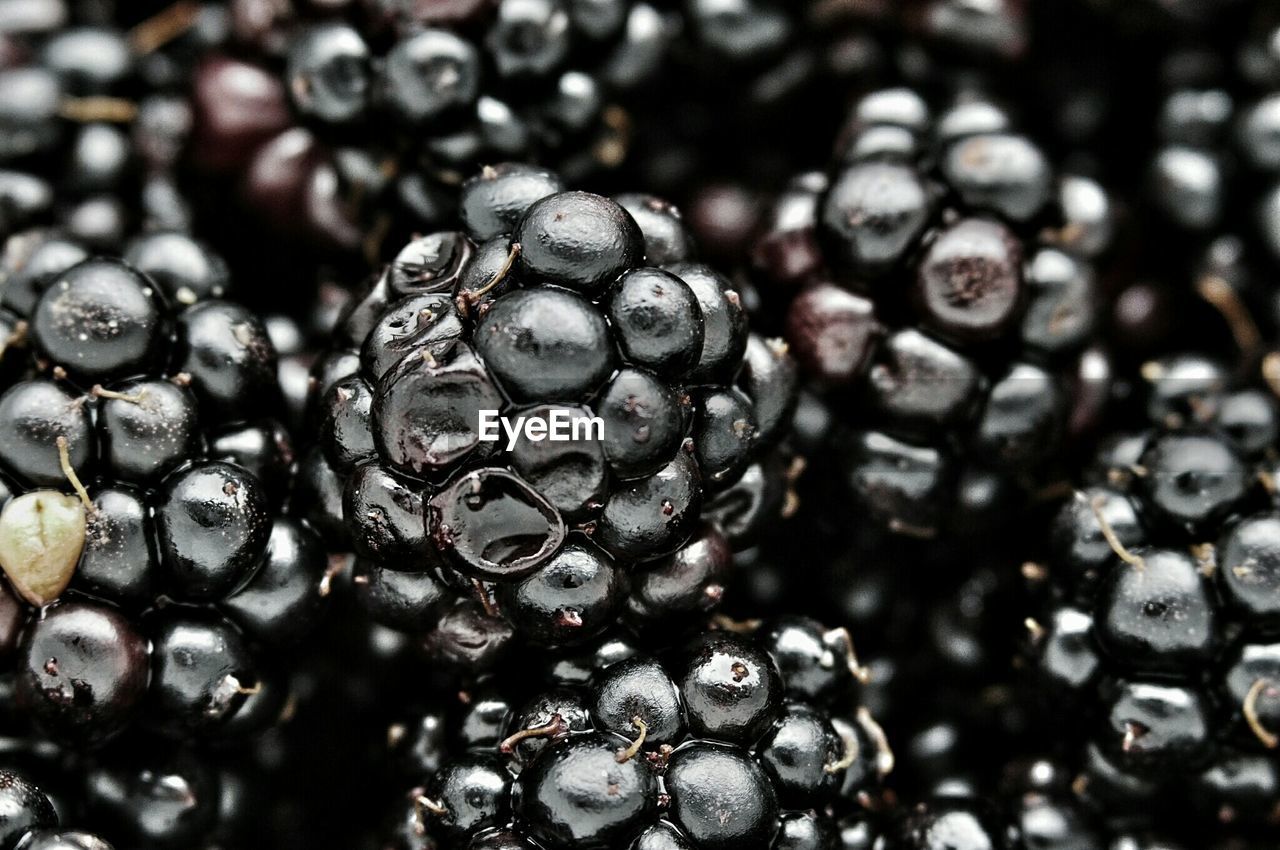 Full frame shot of wet blackberries