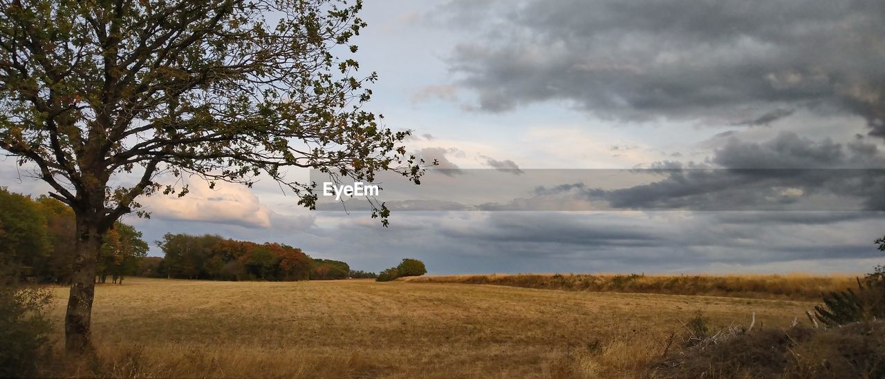 SCENIC VIEW OF LAND AGAINST SKY