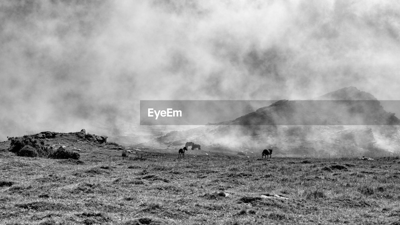 SCENIC VIEW OF LAND AGAINST SKY