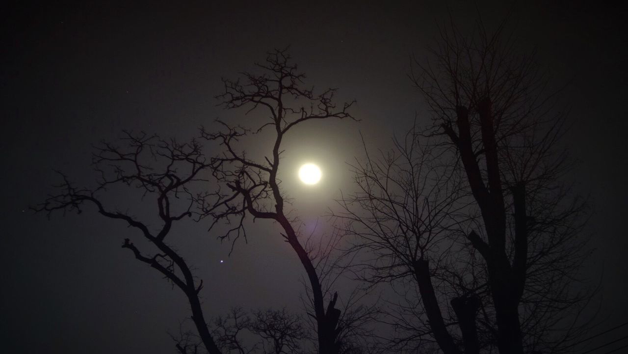 LOW ANGLE VIEW OF BARE TREES AGAINST SKY AT SUNSET