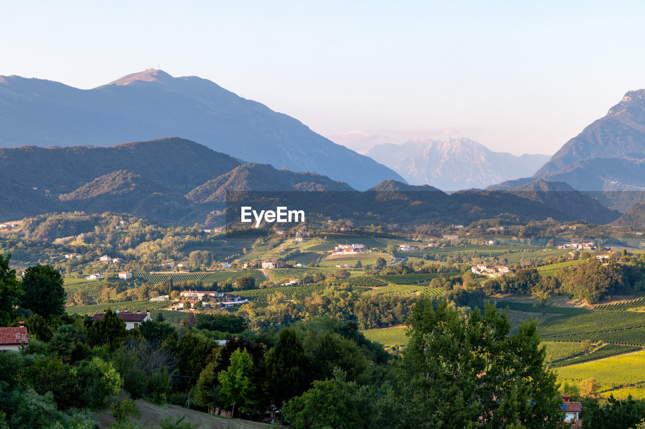 View of the prosecco hills, in the background the venetian alps