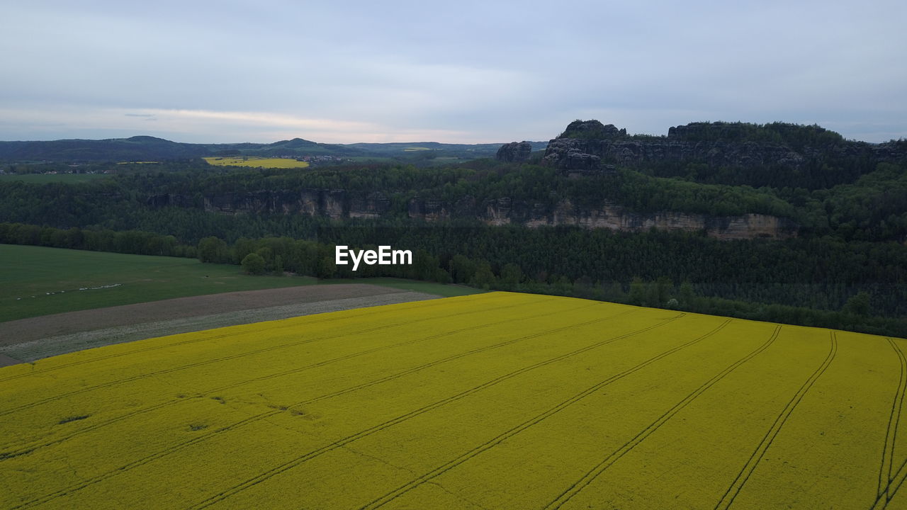 Scenic view of field against sky