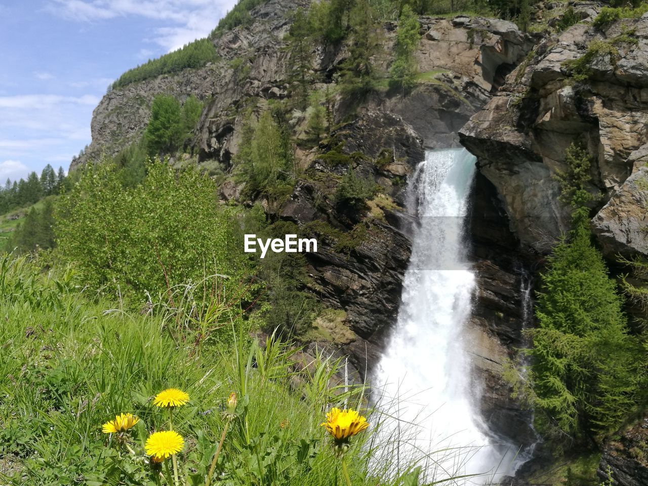 Scenic view of waterfall on mountain