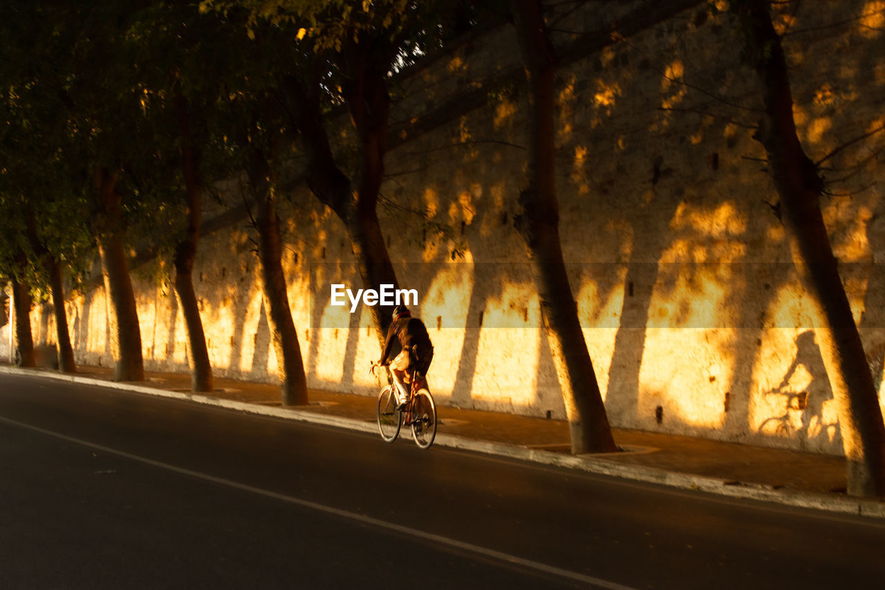 MAN RIDING BICYCLE ON ROAD AGAINST TREES