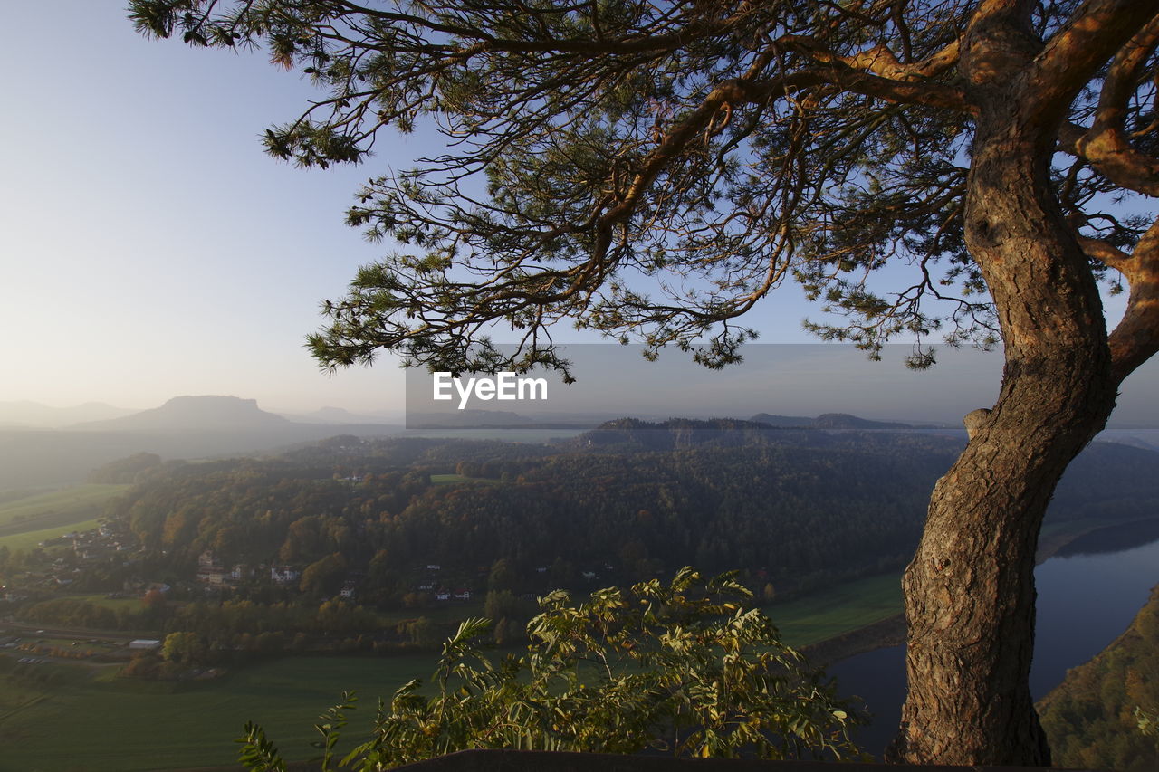 Scenic view of tree by mountains against sky