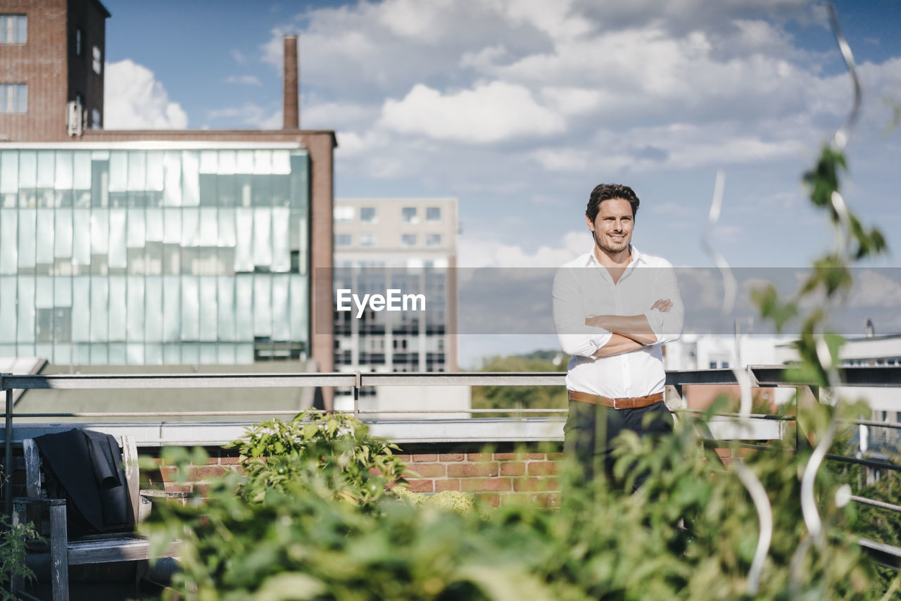 Businessman cultivating plants in his urban rooftop garden