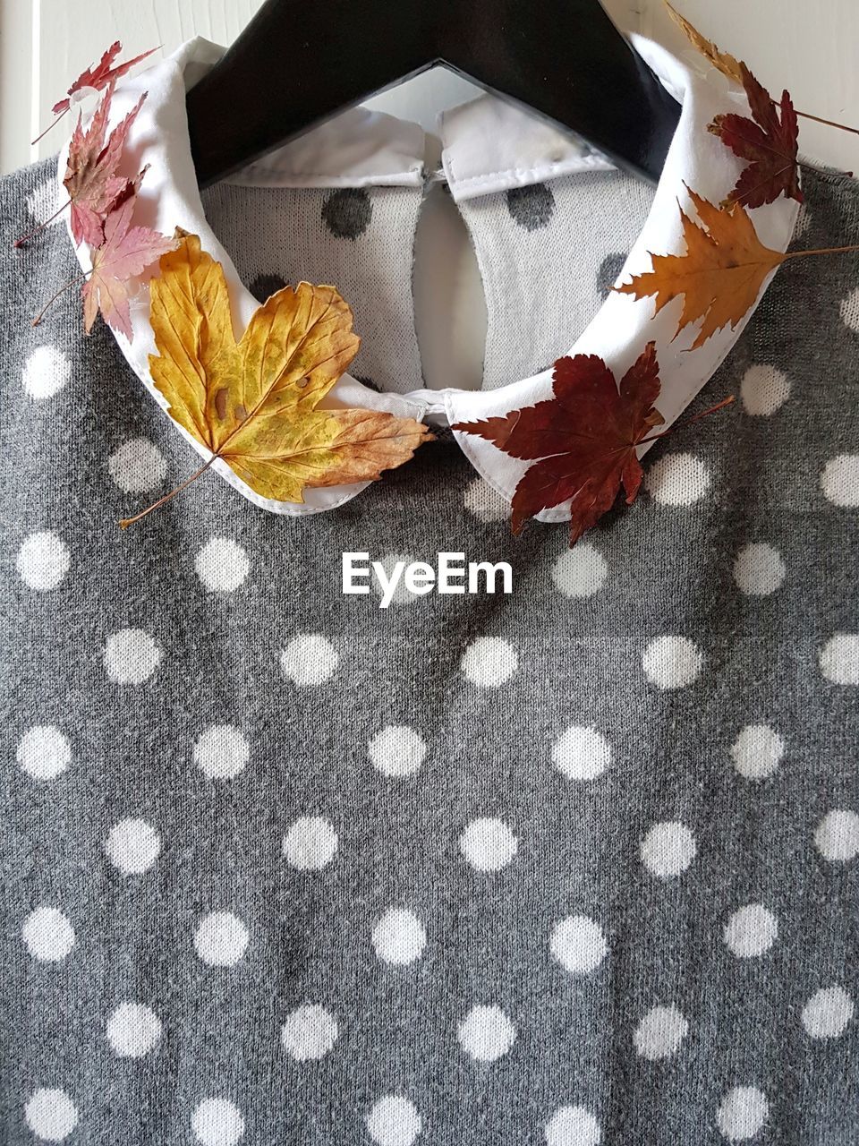 Close-up of autumn leaves on warm clothing