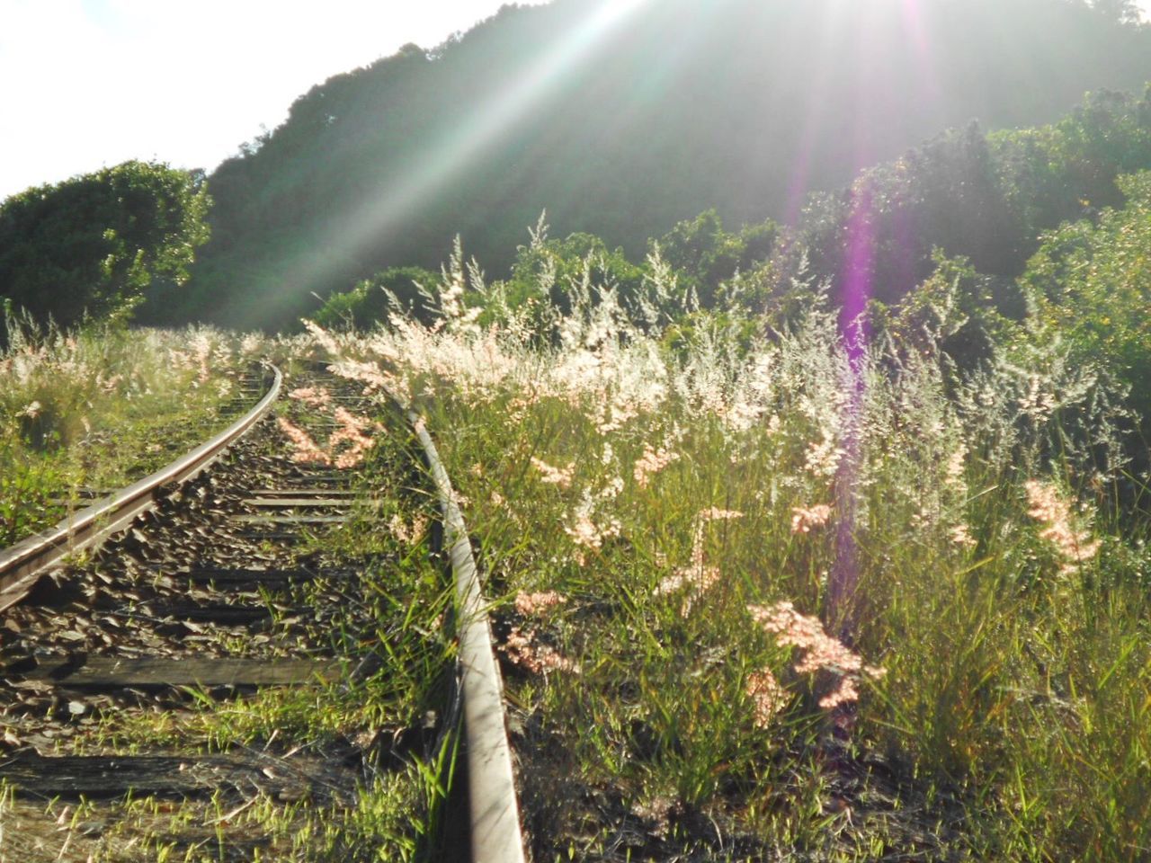 VIEW OF RAILROAD TRACK ON SUNNY DAY