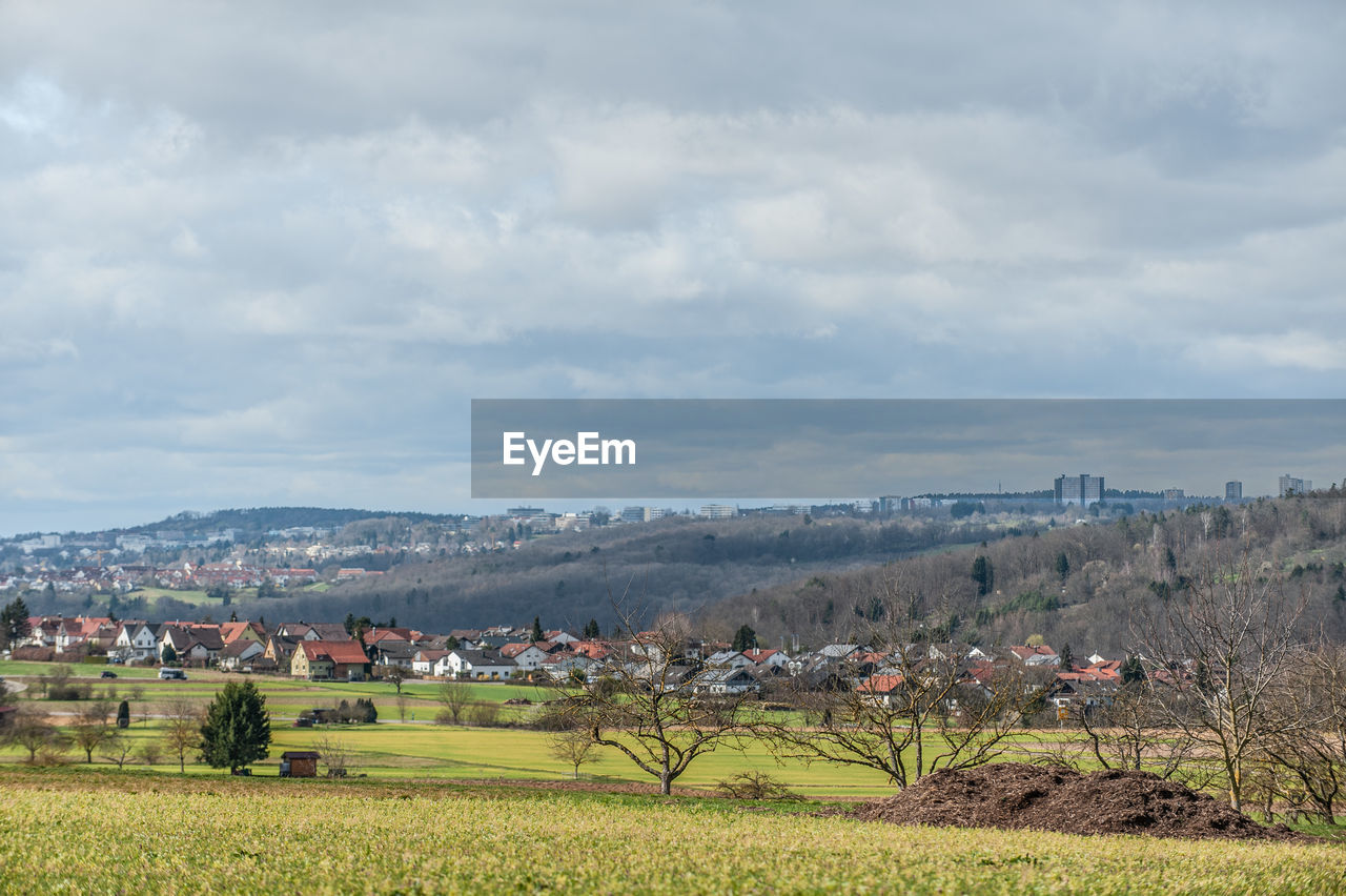 Scenic view of agricultural field against sky