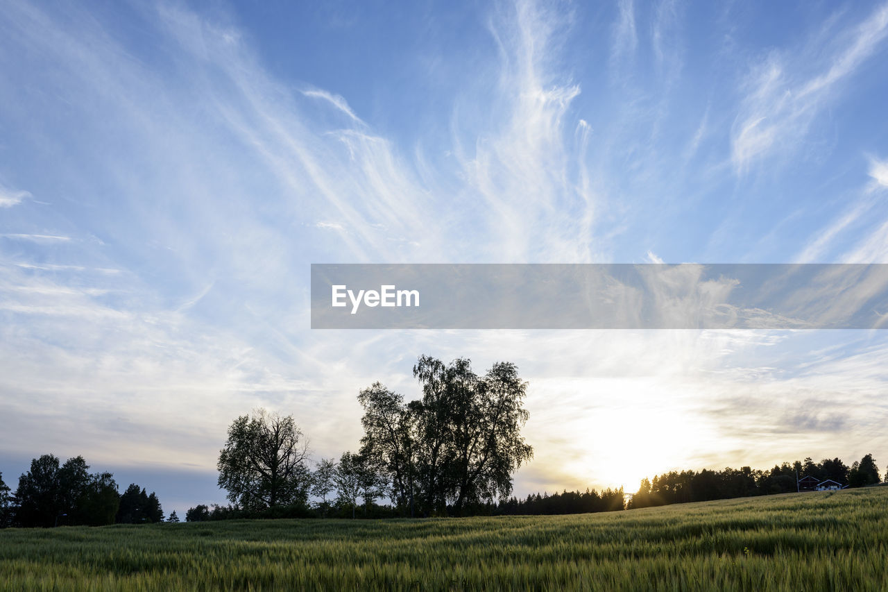 Scenic view of field against sky during sunset