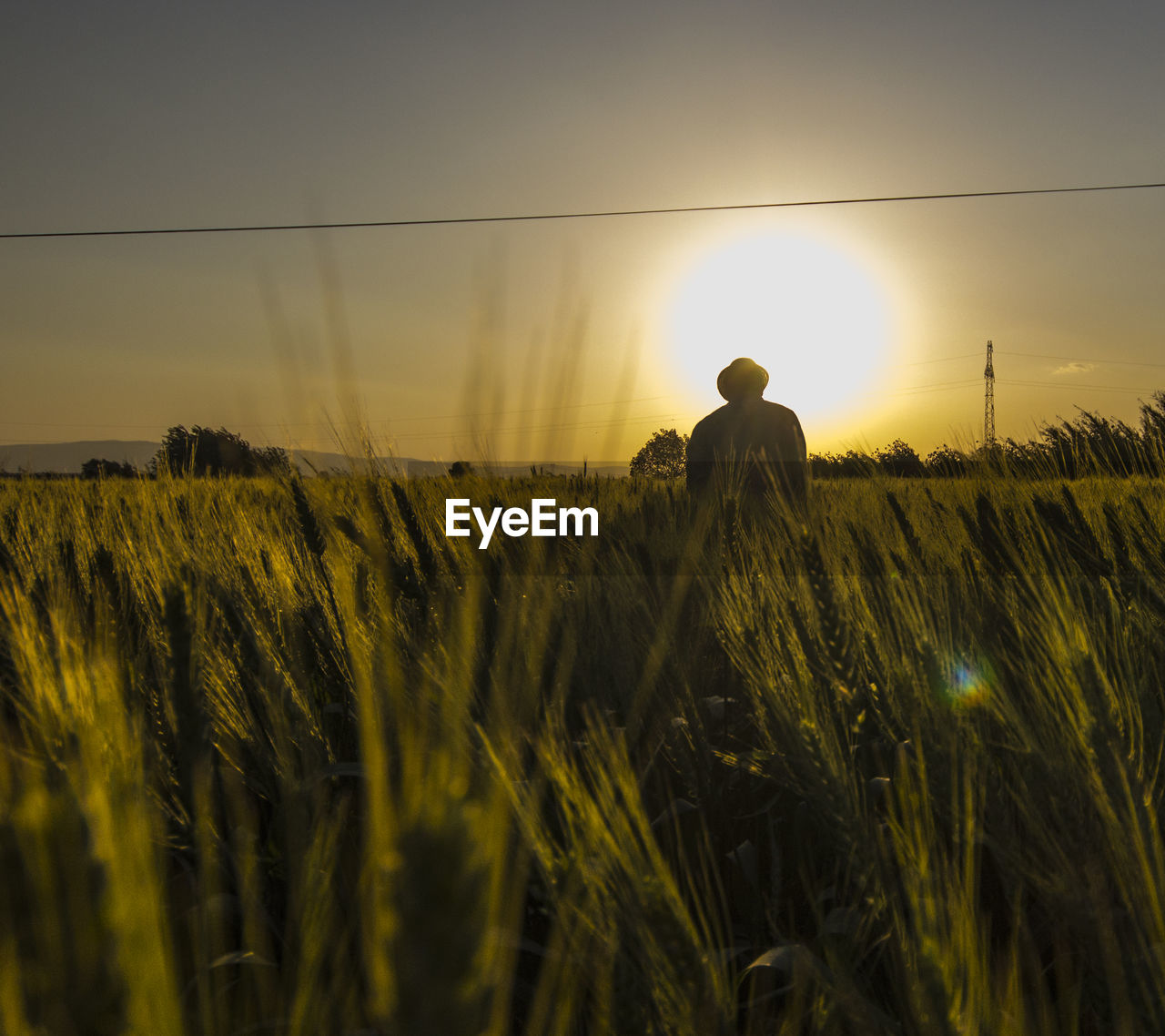 Farmer standing on field against sky during sunset