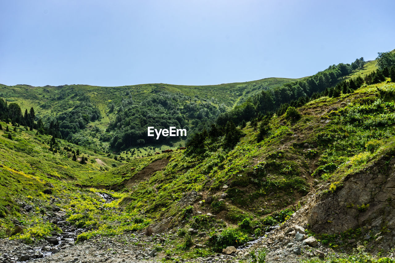 panoramic view of mountains against clear sky