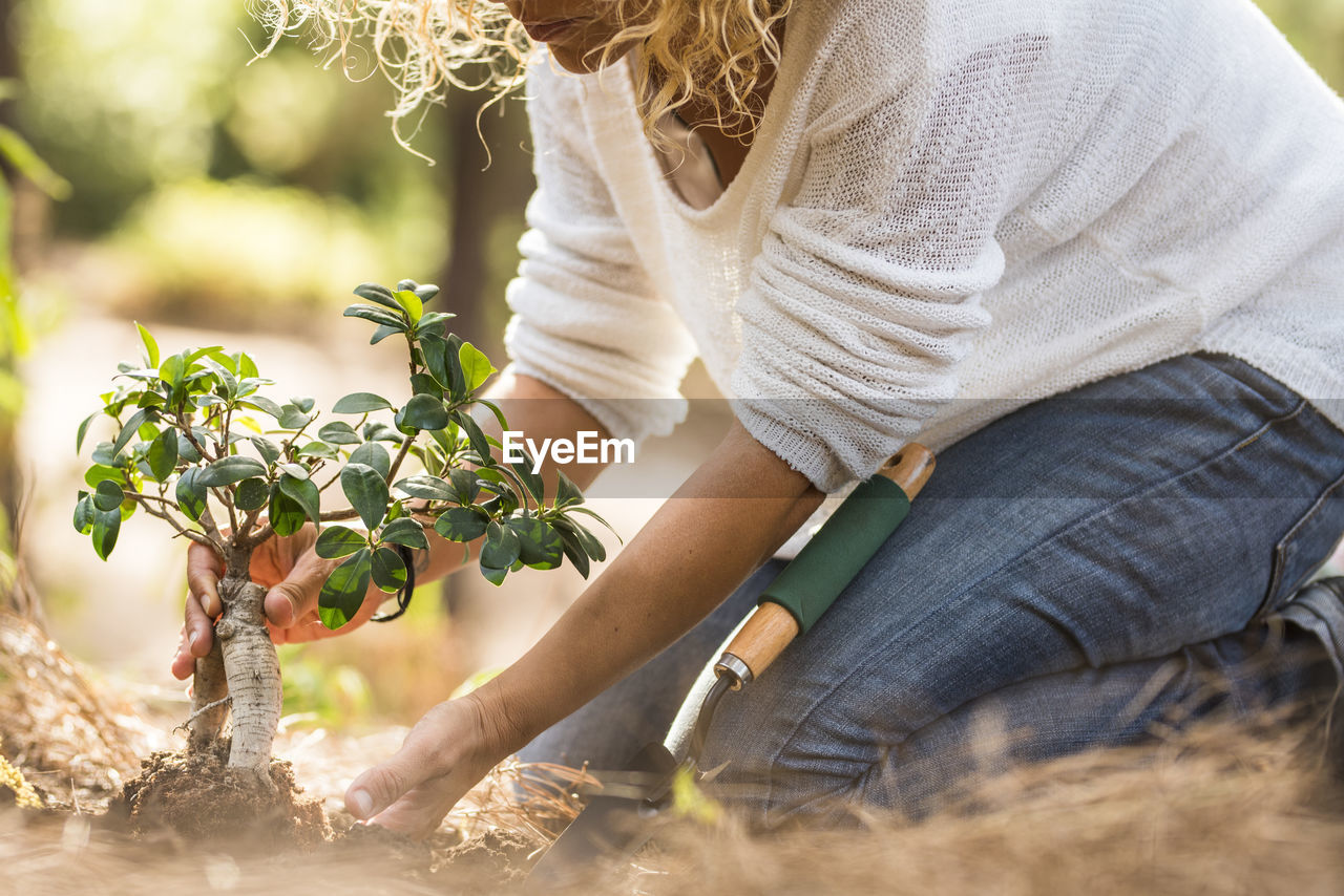 Midsection of woman planting plant in yard