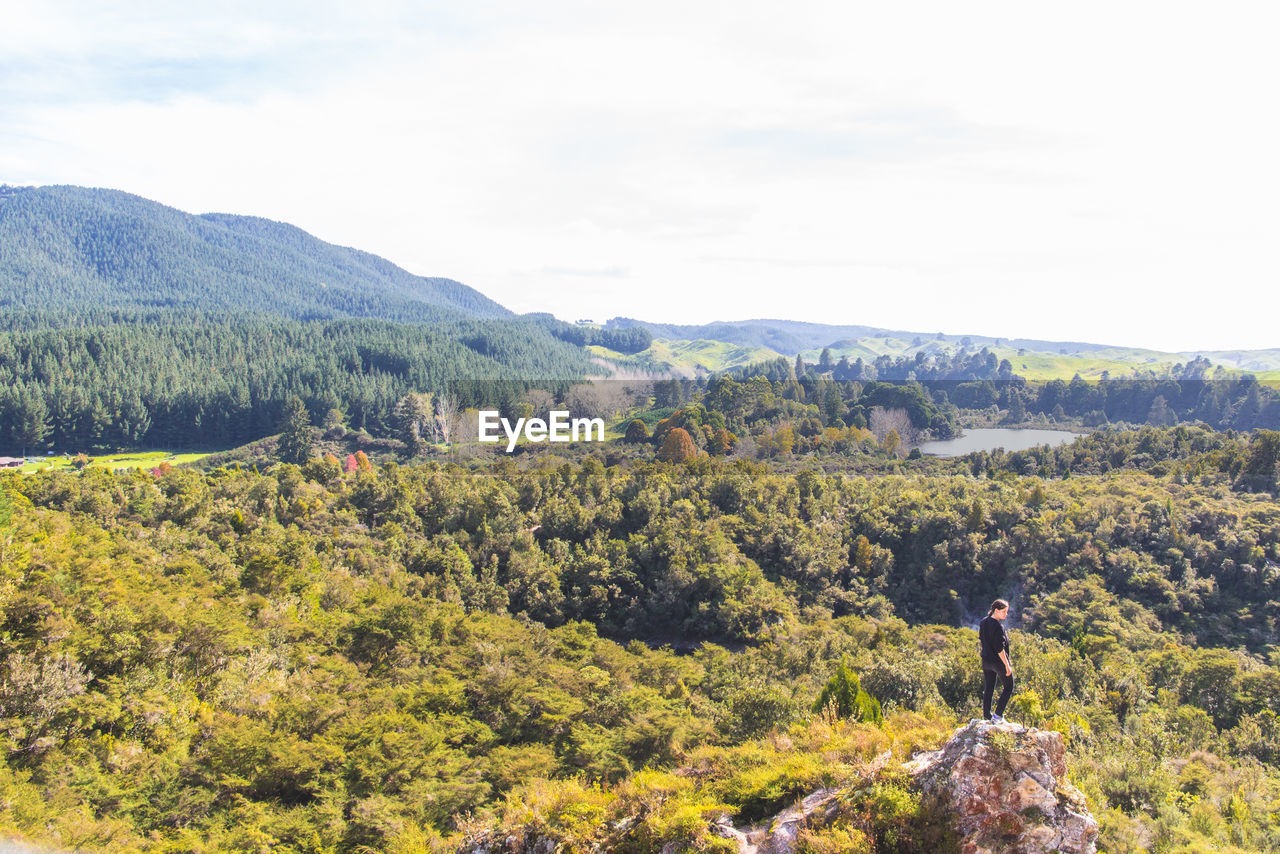 Woman on rock in forest landscape