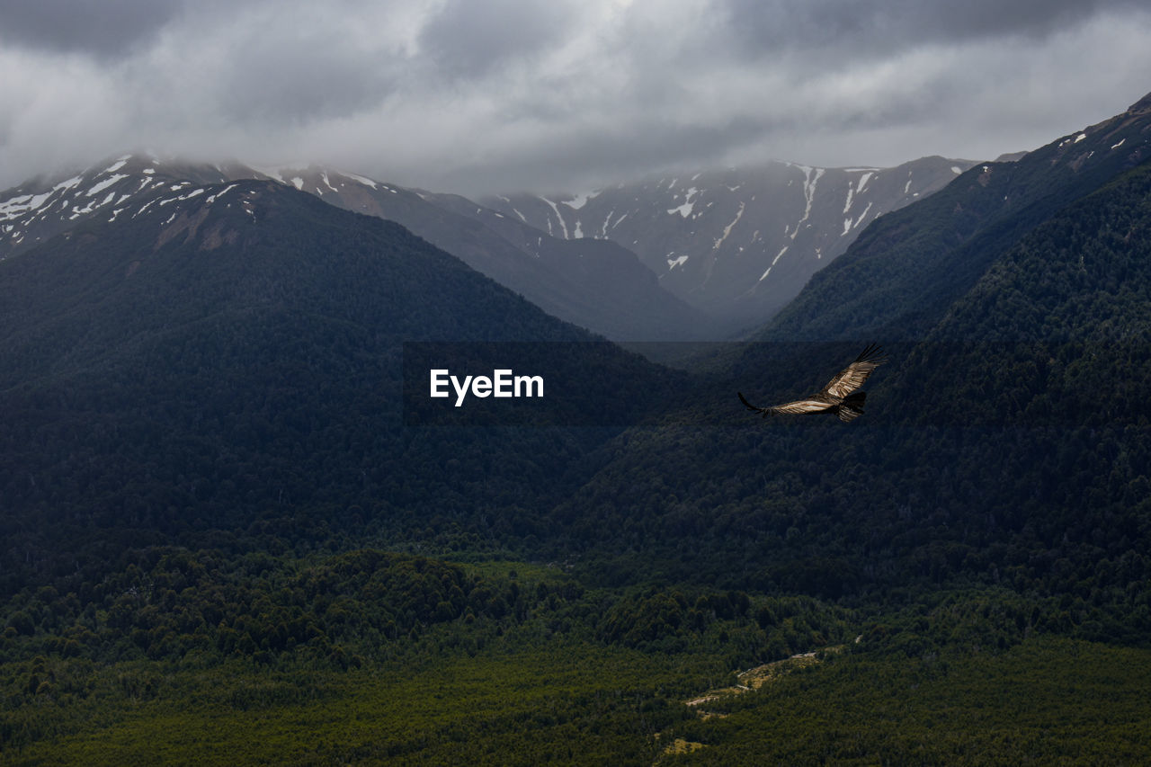 Scenic view of mountains in patagonia