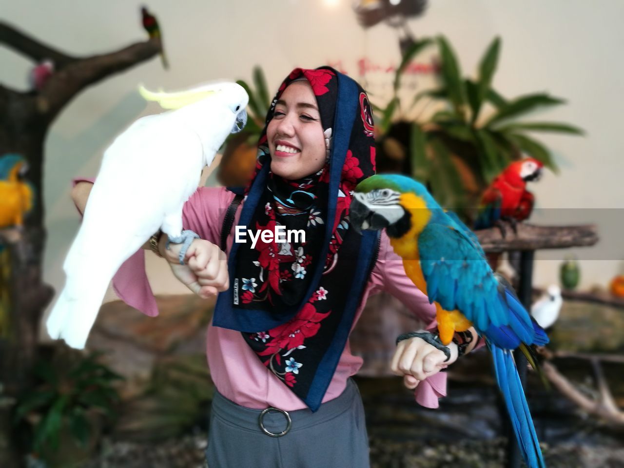 Woman wearing hijab while holding parrots