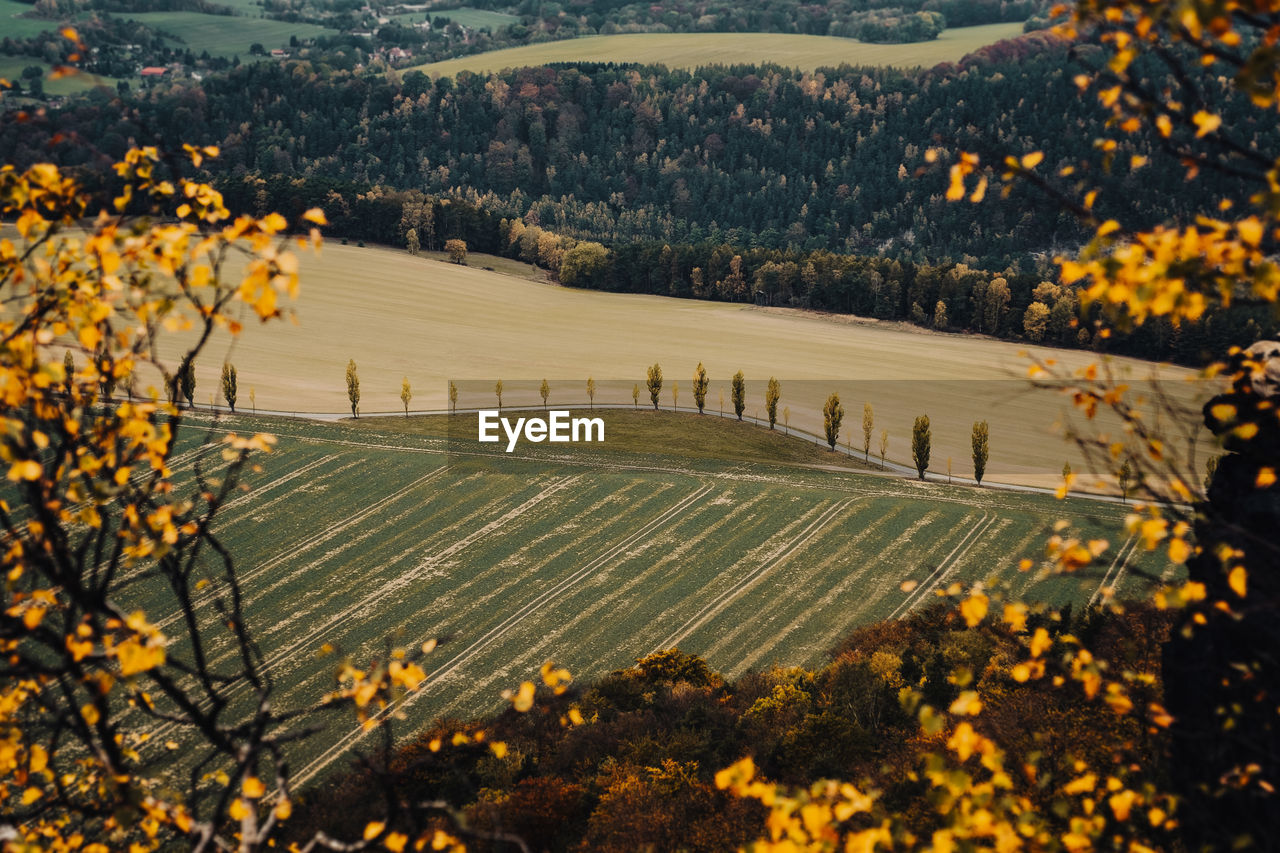 High angle view of trees on field during autumn