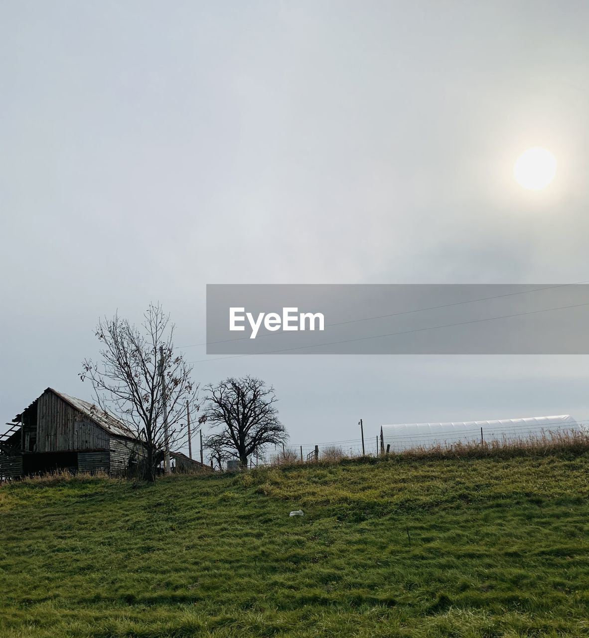 SCENIC VIEW OF GRASSY FIELD AGAINST SKY DURING SUNSET