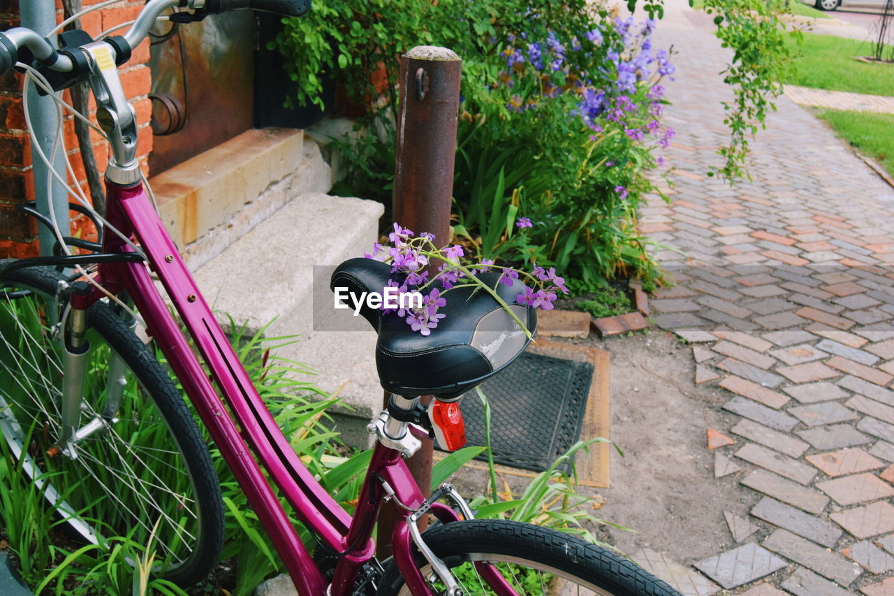 HIGH ANGLE VIEW OF BICYCLE ON PLANT
