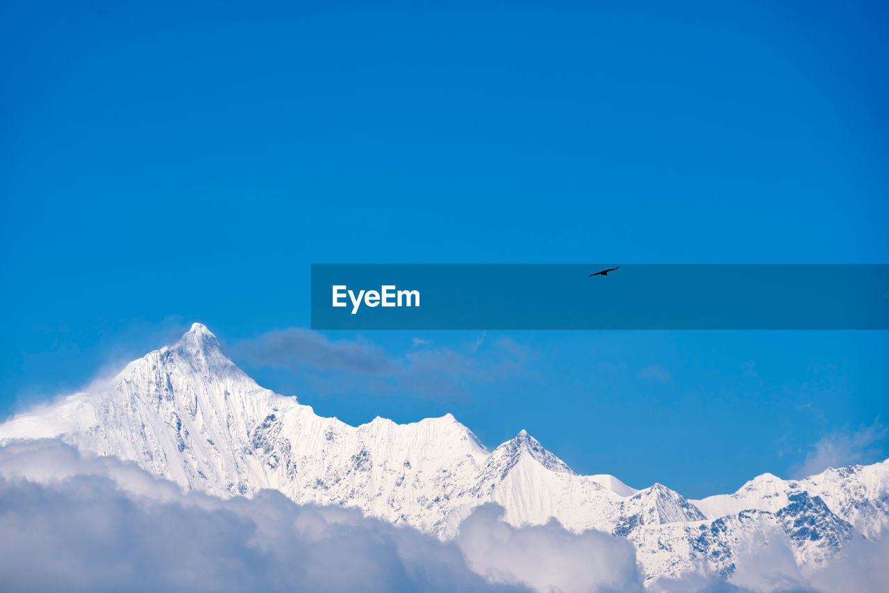 Bird flying over snowcapped mountains against blue sky