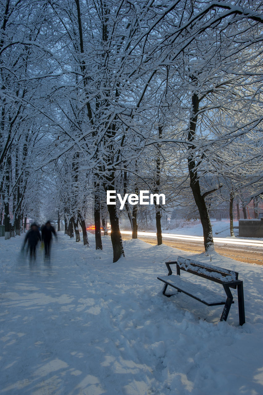 Rear view of people walking on snow covered landscape