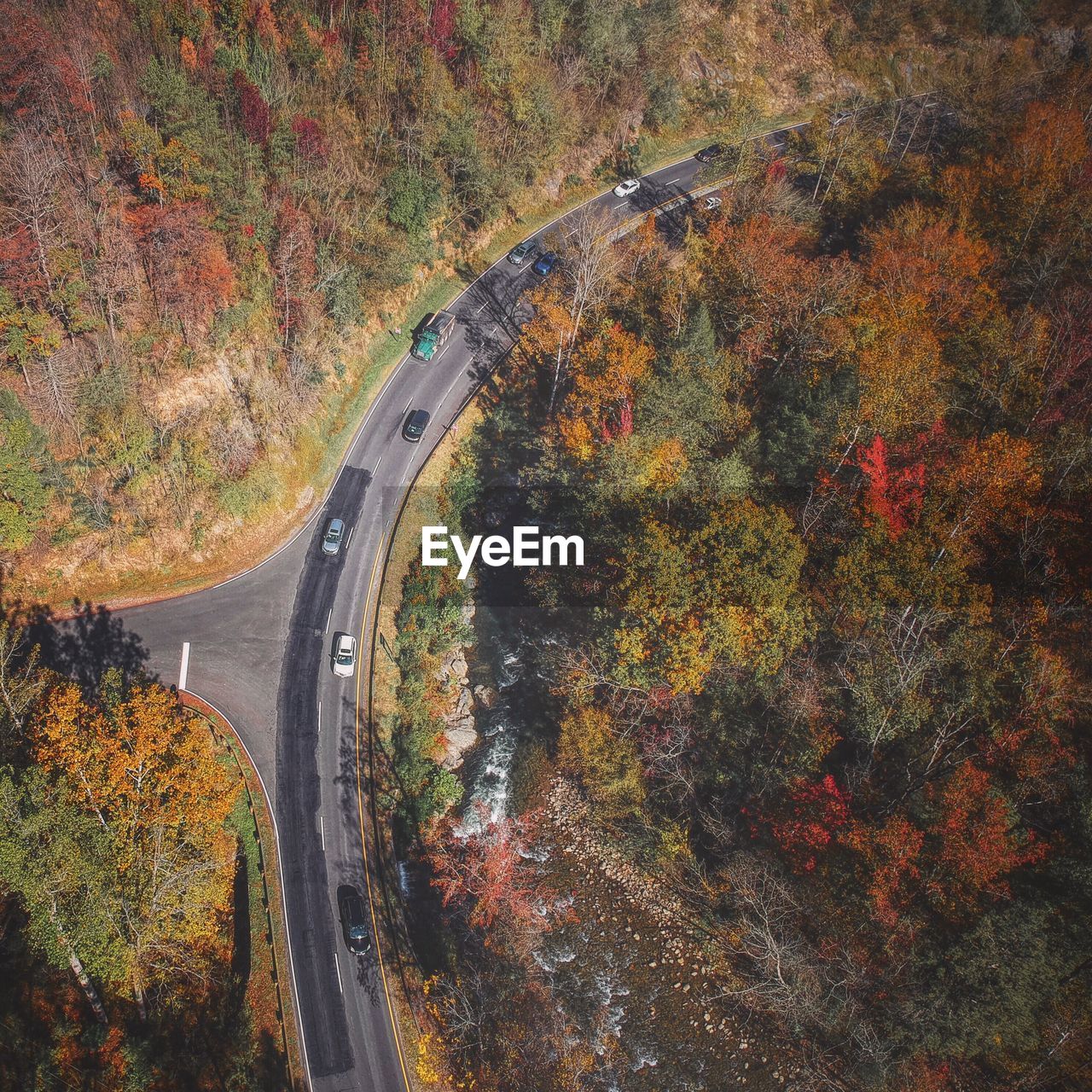 High angle view of road amidst trees in forest during autumn