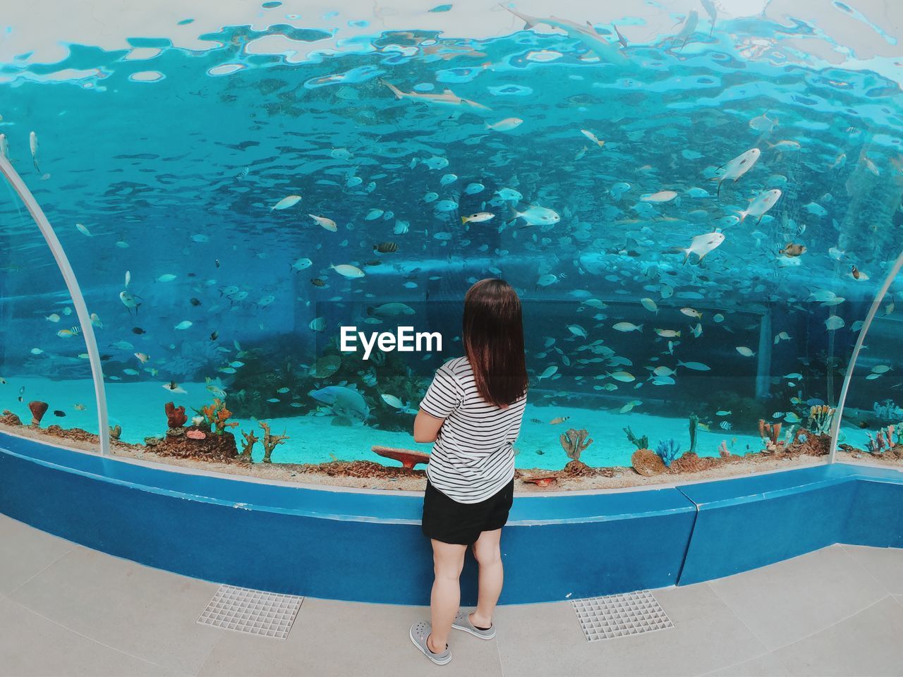 Rear view of woman standing in aquarium
