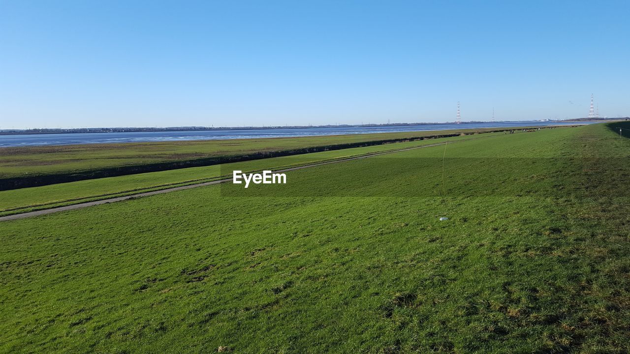 FIELD AGAINST CLEAR SKY