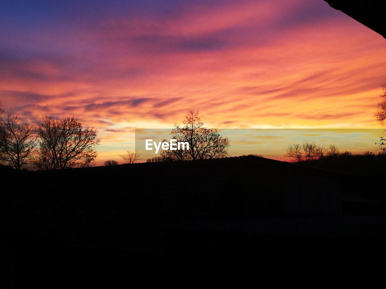 SILHOUETTE TREE AGAINST ORANGE SKY