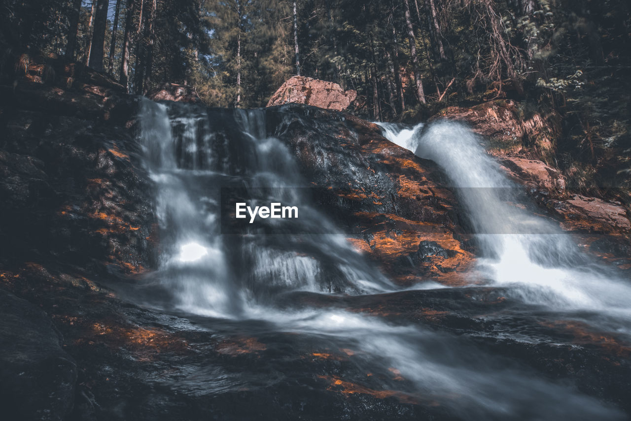 View of waterfall in forest