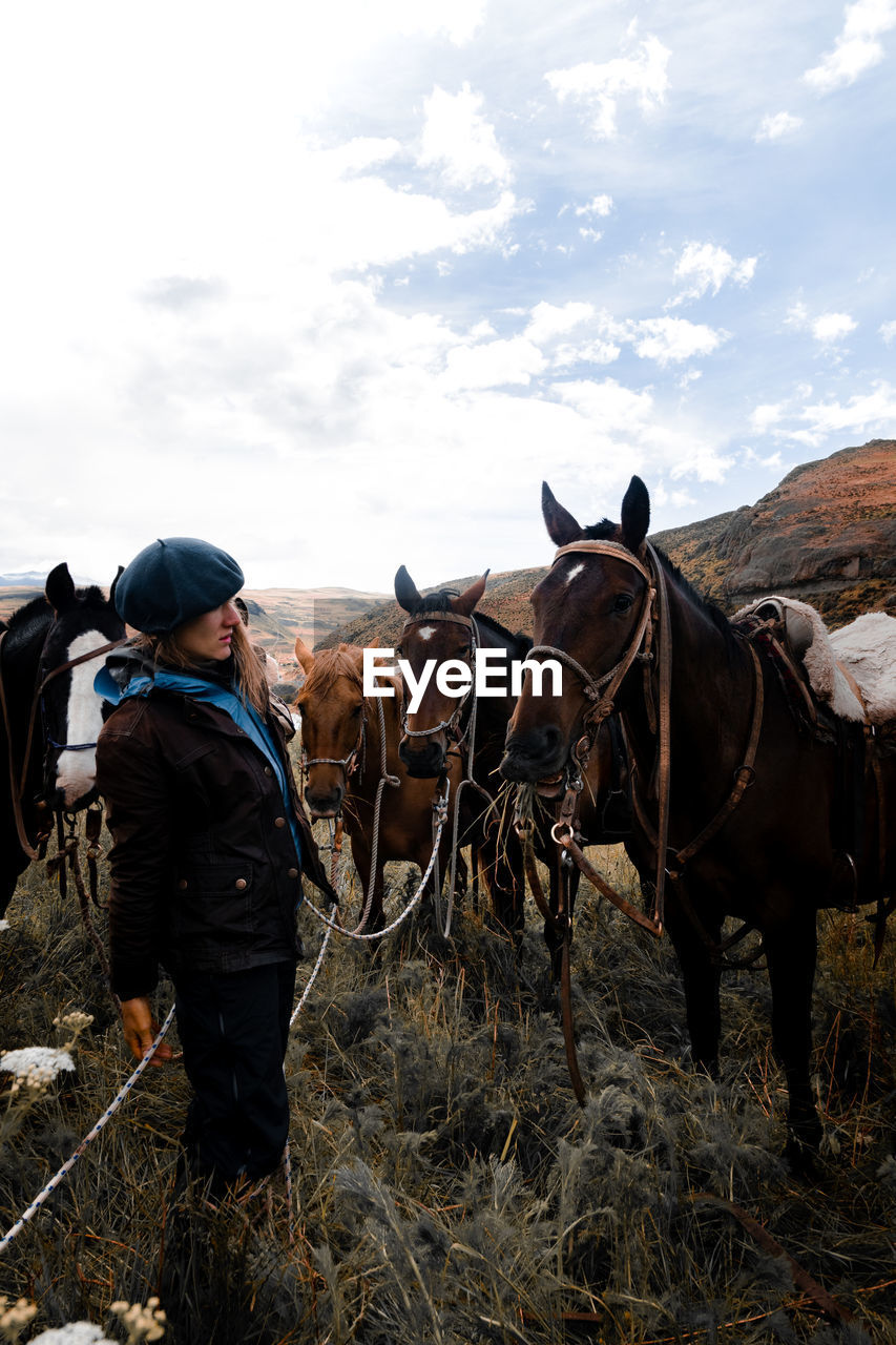 Horse standing on land against sky