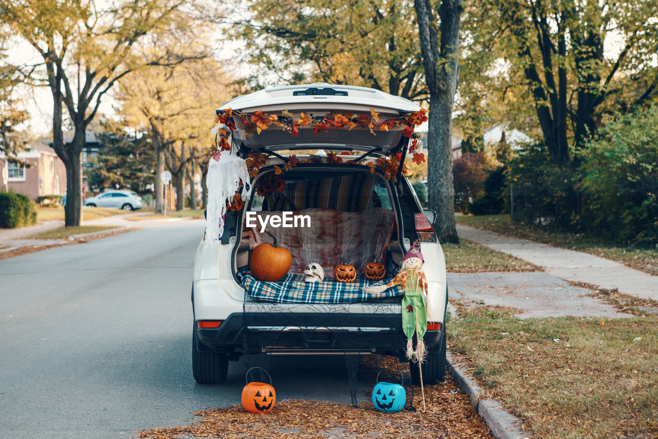 Trick o trunk. white car trunk decorated for halloween. autumn fall decor with red pumpkins 