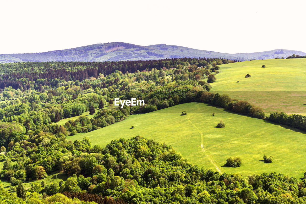 Scenic view of field against clear sky