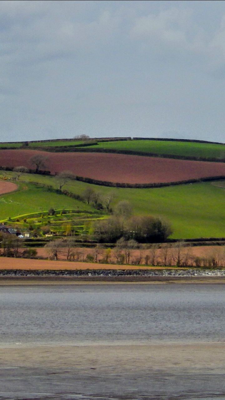 SCENIC VIEW OF RURAL LANDSCAPE