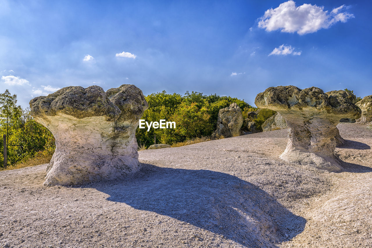 The stone mushrooms is a rock phenomenon